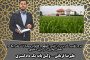 جرم تغییر کاربری اراضی؛ مفهوم قانونی، مجازات، شرایط تحقق و نقش وکیل مطابق رویه ی استان قم
