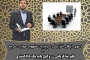 دعوی ابطال افزایش سرمایه؛مفهوم،مواردابطال و نقش وکیل در این دعاوی مطابق با رویه ی استان قم